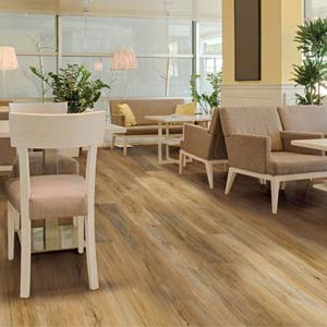 COREtec Pro Plus Enhanced Edinburgh Oak VV492-02001