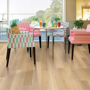 COREtec Pro Plus HD 9 Canterbury Elm VV488-02093