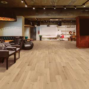 COREtec Pro Plus XL E Cairo Oak VV491-02956