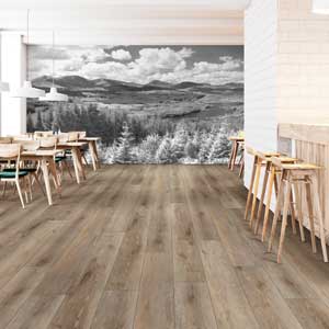 COREtec Pro Plus XL E Suva Oak VV491-02957