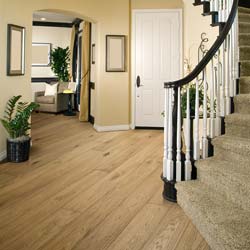 CHENE 630 Lambrusco room